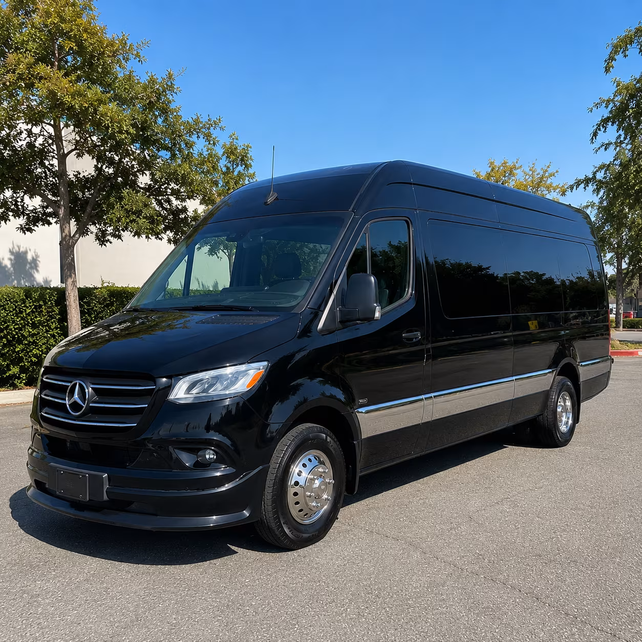 find the perfect transportation for your next birthday 3