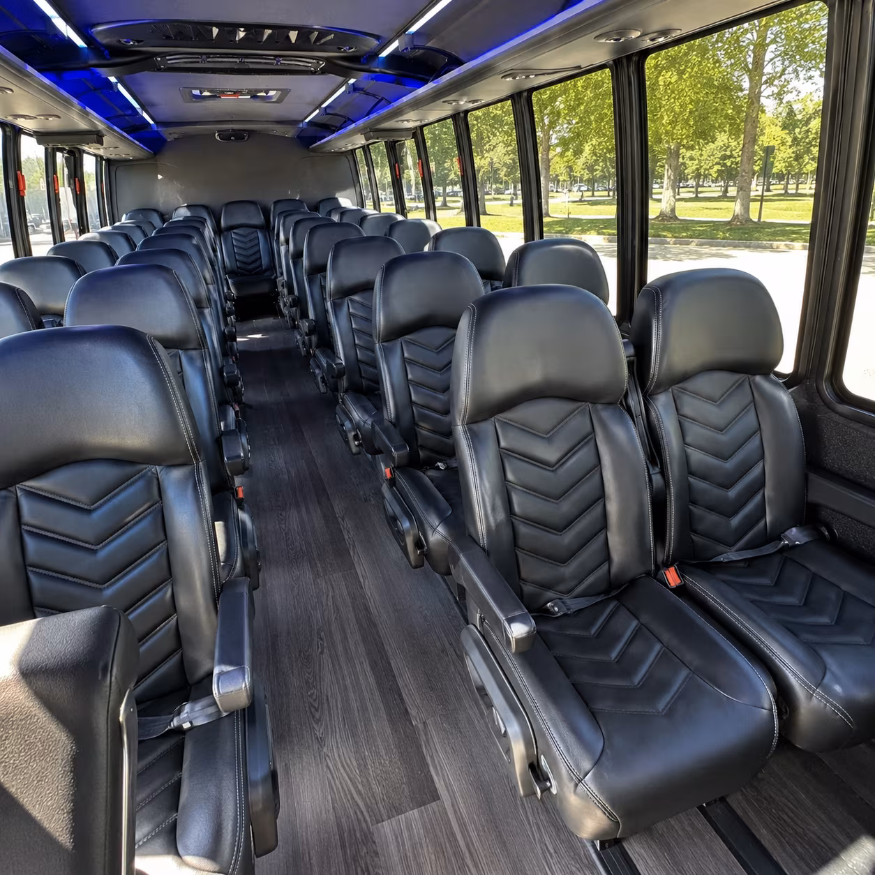 surprise concert transportation